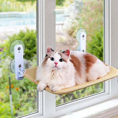 hamac-pour-chat-fenetre-pliable-avec-chat-dessus