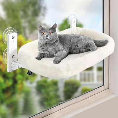 hamac-pour-chat-fenetre-sans-fil-chat-qui-regarde-enface