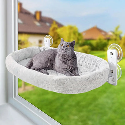 hamac-pour-chat-fenetre-sans-fil-chat-regarde-en-haut