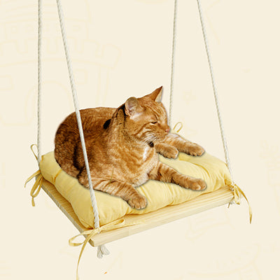 hamac-pour-chat-fenetre-style-balancoire-assis