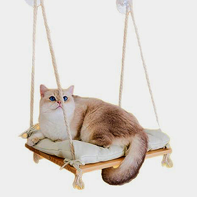 hamac-pour-chat-fenetre-style-balancoire-coucher