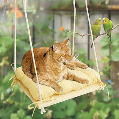 hamac-pour-chat-fenetre-style-balancoire-dans-jardin