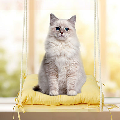hamac-pour-chat-fenetre-style-balancoire-de-face