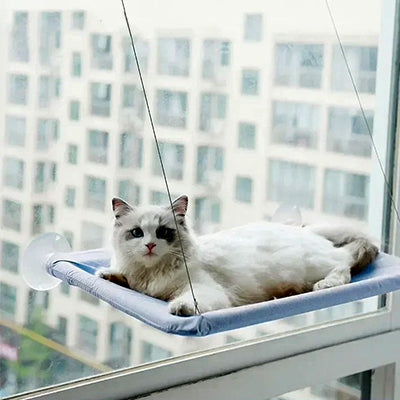 hamac-pour-chat-ventouse-bleu