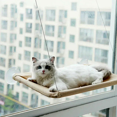 hamac-pour-chat-ventouse-kaki