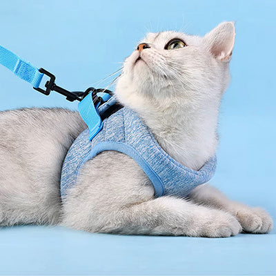 harnais-chat-doux-et-moelleux-allonge