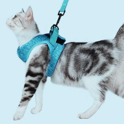 Harnais chat doux et moelleux