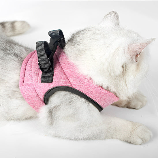 harnais-chat-doux-et-moelleux-de-dos