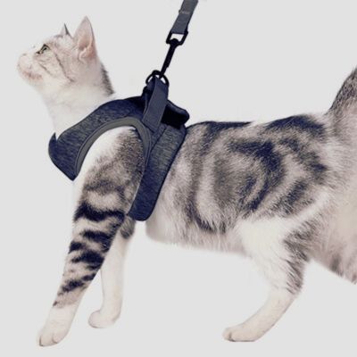 Harnais chat doux et moelleux