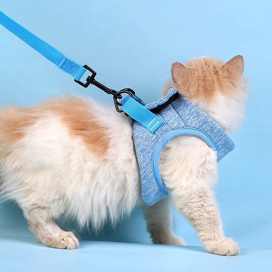 harnais-chat-doux-et-moelleux