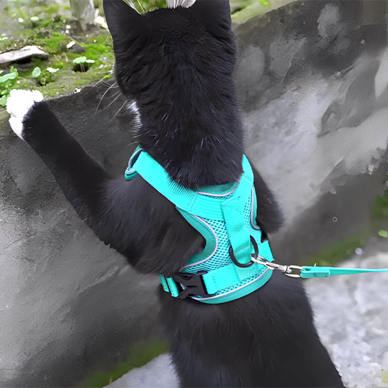 harnais-pour-chat-reflechissant-dos