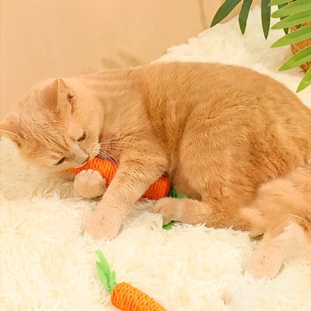 jouet-chat-en-forme-de-carotte-gourmand-coucher