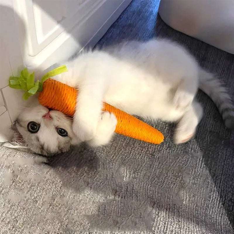 jouet-chat-en-forme-de-carotte-joueur
