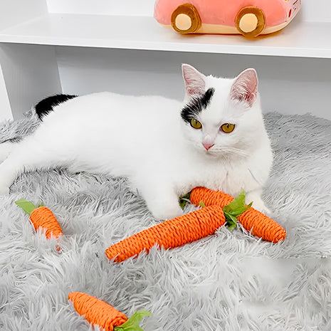 jouet-chat-en-forme-de-carotte-pause-sur-coussin