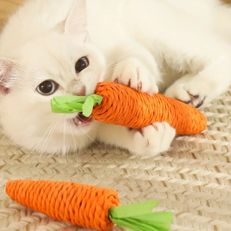 jouet-chat-en-forme-de-carotte-surpris