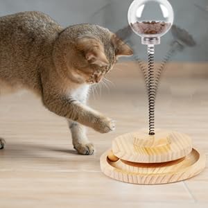 jouet-chat-friandise-intrigue
