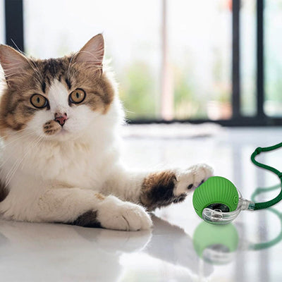 jouet-chat-interactif-chat-assis