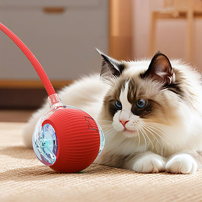 jouet-chat-interactif-regard