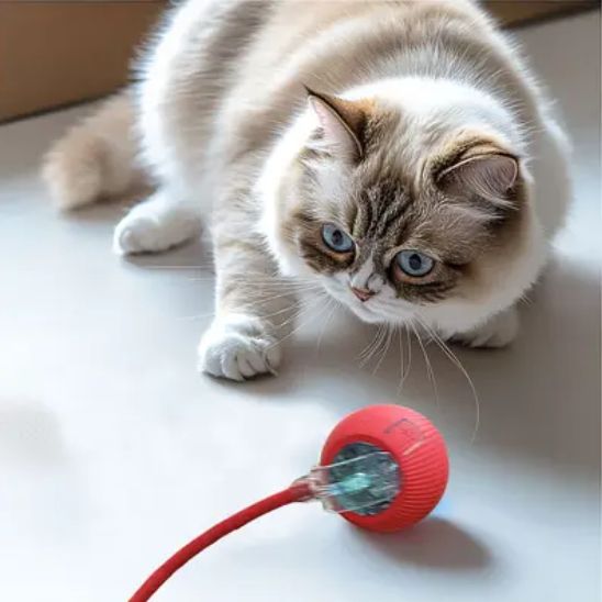 jouet-chat-interactif-surpris