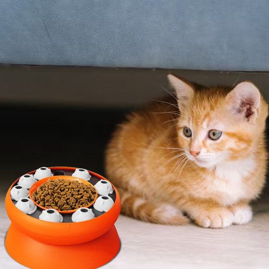 jouet-chat-interactive-anti-glouton-chaton