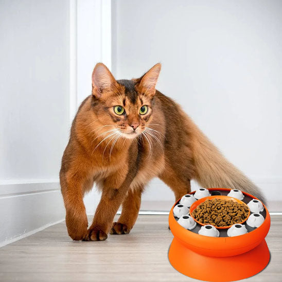 jouet-chat-interactive-anti-glouton-decouvre