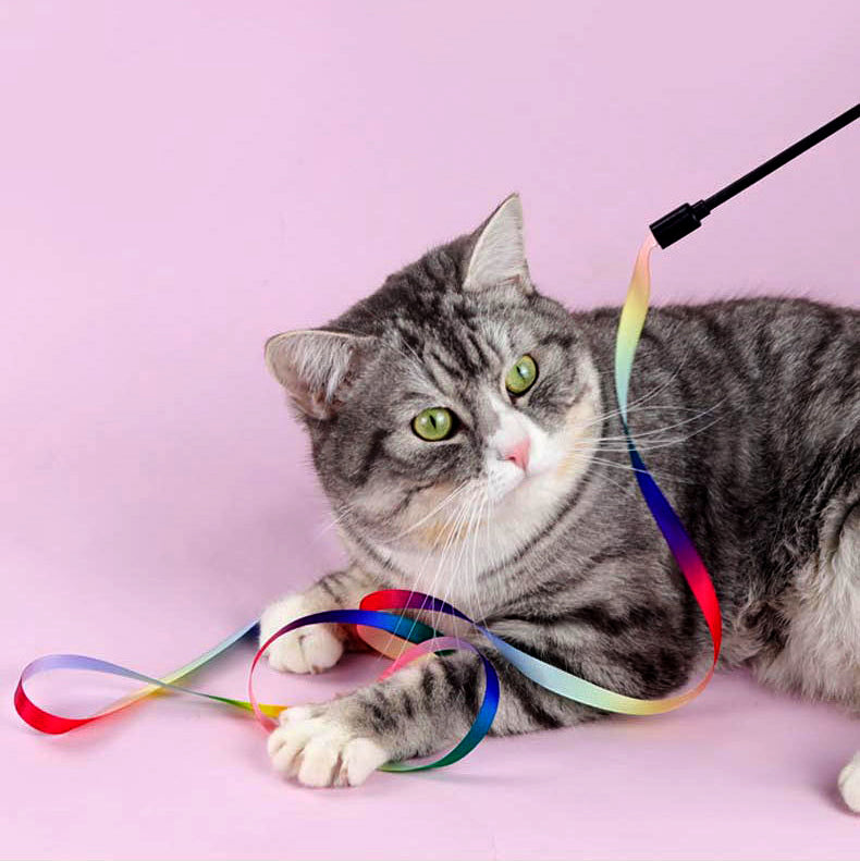 jouet-chat-ruban-bondir