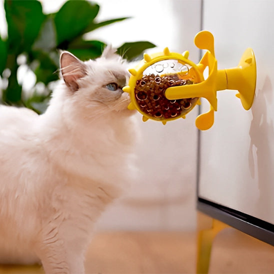 jouet-pour-chat-anti-glouton-au-mur