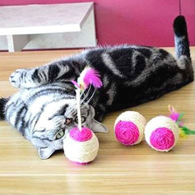 jouet-pour-chat-balle-sisal-coucher-sur-le-dos