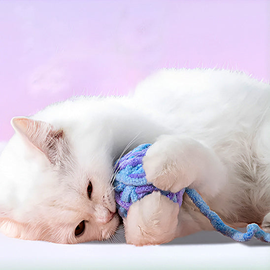 jouet-pour-chat-balle-sonore-mache-sans-mordre