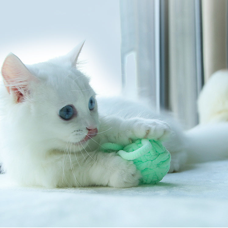 jouet-pour-chat-balle-sonore-pattes