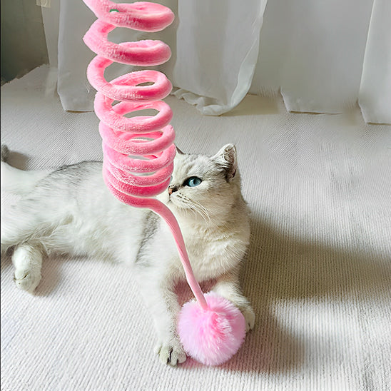 jouet-pour-chat-suspendu-ressort-assis