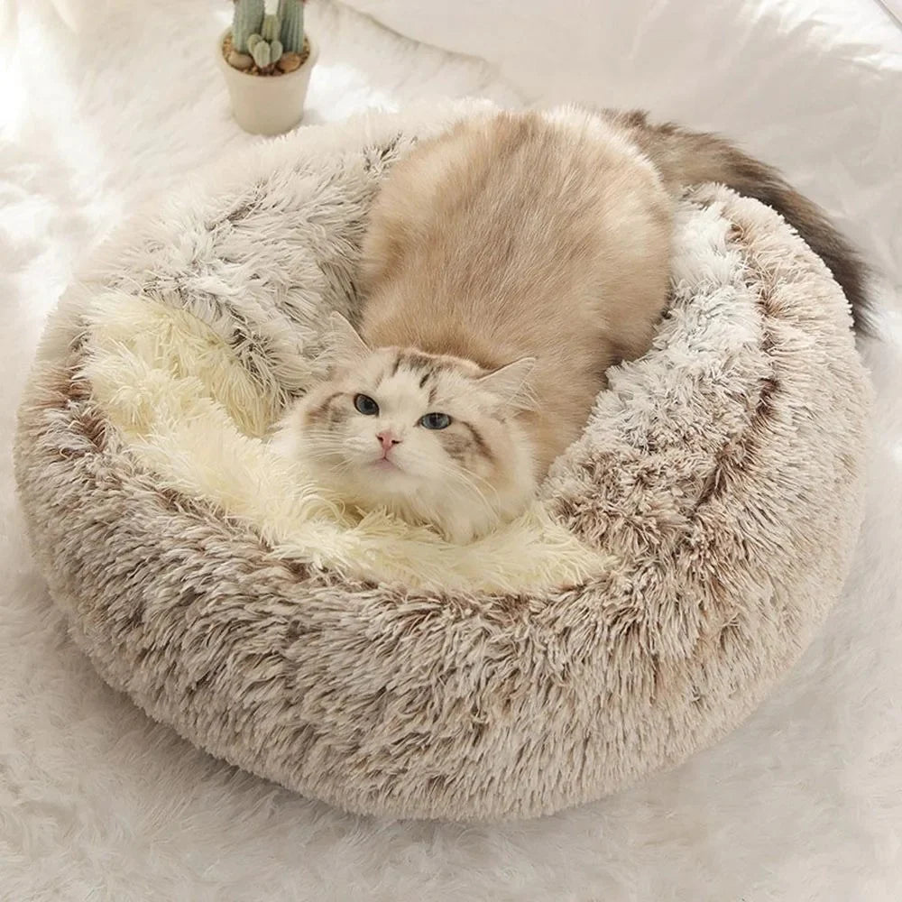 lit-pour-chat-doudou-allonge-tete-levee