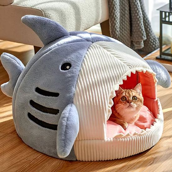 maison-pour-chat-requin-surpris