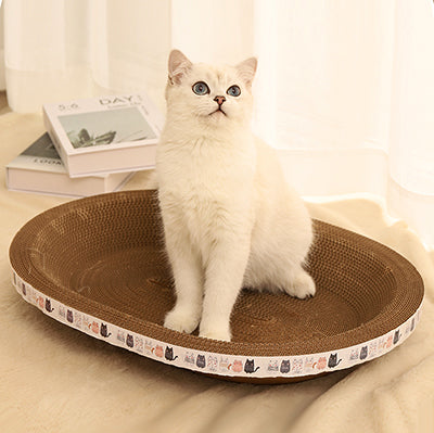 panier-chat-grattoir-assis