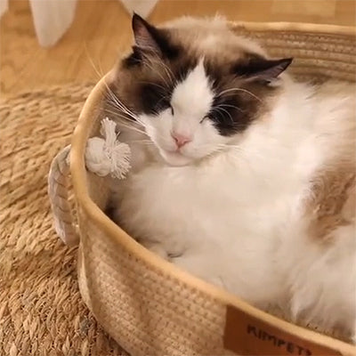 panier-chat-osier-style-japon-confort