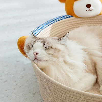 panier-chat-ourson-dodo