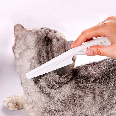 peigne-pour-chat-anti-puce-peigne-sur-nuqueet_cou