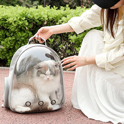 sac-a-dos-pour-chat-avec-sa-maitresse