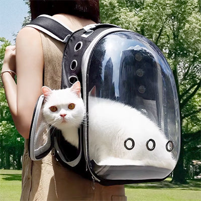 sac-a-dos-pour-chat-ballade-au-dos
