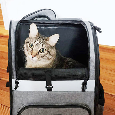 sac-a-dos-pour-chat-cachette-jean