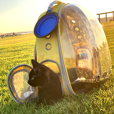 sac-a-dos-pour-chat-dans-les-champs