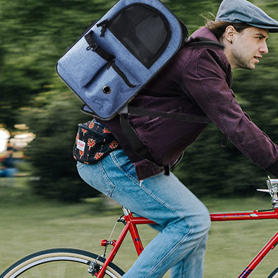 sac-a-dos-pour-chat-ville-velo