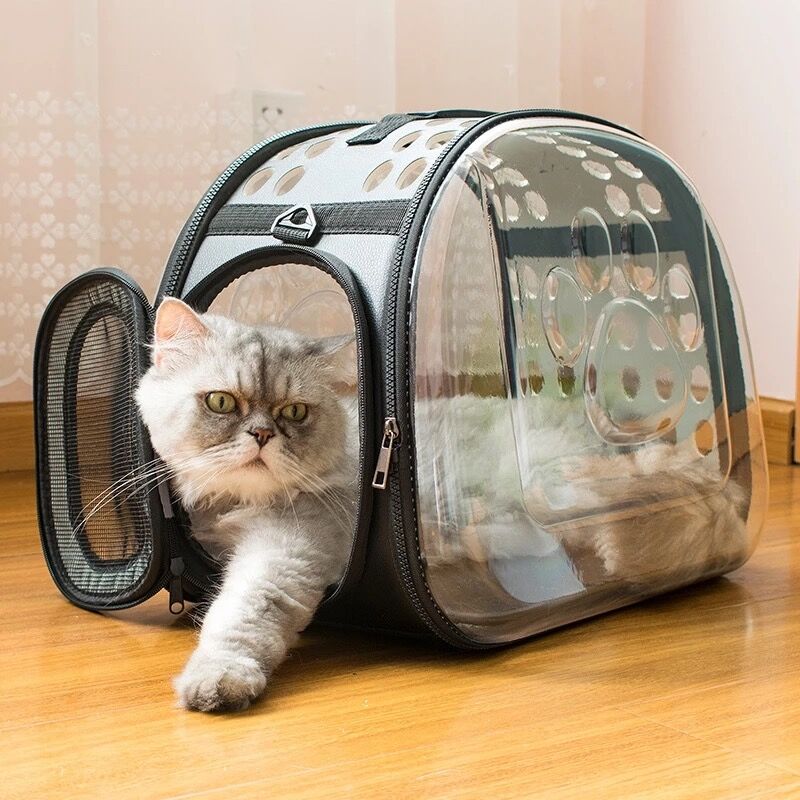 sac-de-transport-pour-chat-coucher