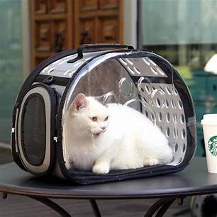 sac-de-transport-pour-chat-repos