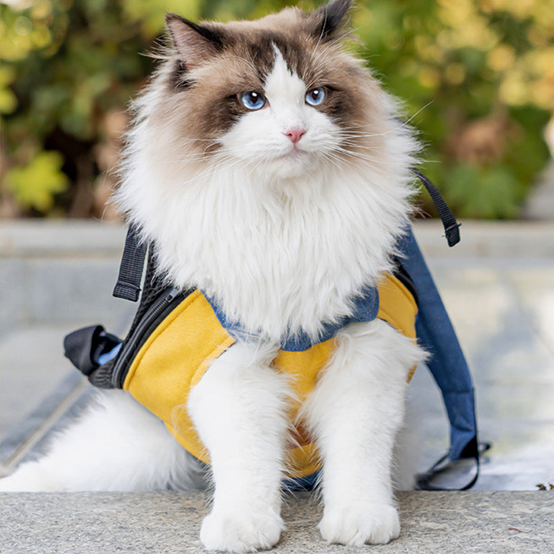 sac-pour-chat-plein-air-royaume