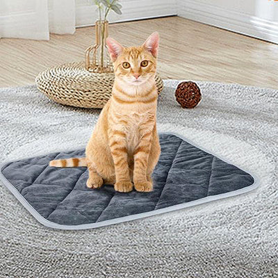 tapis-de-lit-pour-chat-assis