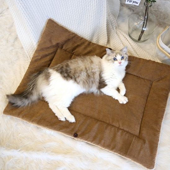 tapis-de-lit-pour-chat-multifonction-allonger