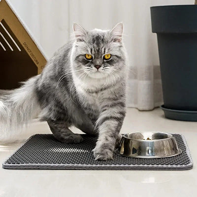 tapis-litiere-chat-avec-gamelle