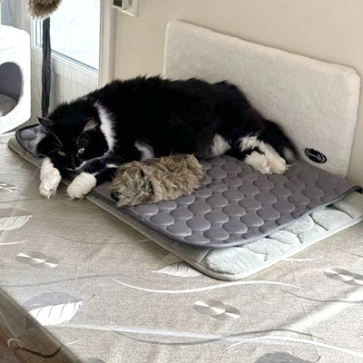 tapis-pour-chat-rafraichissant-coin