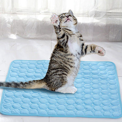 tapis-pour-chat-rafraichissant-debout